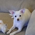 Larry Thomas Dement - @dementlarrythomas - Instagram
