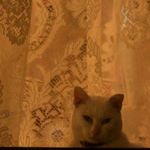 Larry Denney - @larry.denney.75 - Instagram