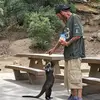 Larry Denney - @larry.denney - TikTok