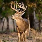 Larry A DeVere - @larrydevere - Instagram