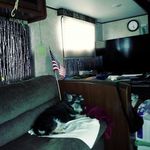 Larry Devine - @larrydeee1 - Instagram