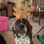 @larry_dingleberryfartsworth - Instagram
