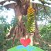 Dines Lohra - Facebook