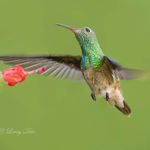 Larry Ditto - @larrydittophotography - Instagram