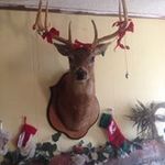 Larry Ditto - @larryditto2 - Instagram