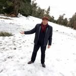 Larry dolphner - @larry_dolphner - Instagram