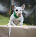 Larry Donley - Facebook