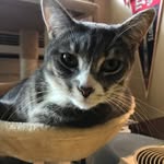 Larry Duck Doucette - @larryduckdoucette - Instagram