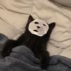 álina - @larry.drew - TikTok