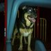Larry Drew - Facebook