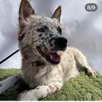 Larry Duffy - @larryduffy47 - Instagram