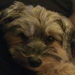 larry durham - @happydurham - Instagram