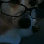 Larry Warren Durrer - @larrywarrendurrer - Instagram