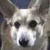 larrydurrer - @larrydurrer - TikTok