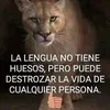 Larry Duval Del Águila - @larryduval10 - TikTok