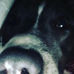 Larry Dwyer - @_larry_111111 - Instagram