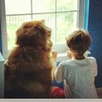 Larry Dwyer - @imscarylarry - Instagram