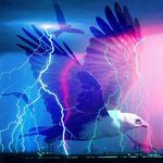 ⛈ʟ ⚡️ ᴀ ⚡️ʀ ⚡️ʀ ⚡️ʏ⛈ - @larry.the.almighty.eagle - Instagram