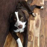 Charlie Larry - @c.larry.eagle - Instagram
