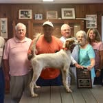 Larry Earls - @larry.earls - Instagram