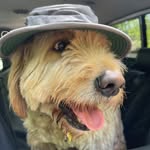 Larry Easterling - @tlarryeasterling - Instagram