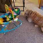 Larry Ebersold - @ebersoldlarry - Instagram