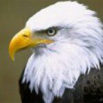 Larry Eck - @leck23236 - Instagram