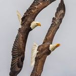 Larry Eck - @larryeck75 - Instagram