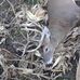 Larry Eckert - Facebook