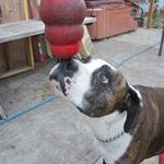 Larry Eckert - @laeme420outlook - Instagram