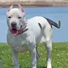 Larry Heckman - @larry.heckman - TikTok