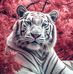 Larry Eggers - Facebook