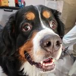 Larry Ehrlich - @ehrlichlarry - Instagram