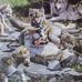 Larry Ellenburg - Facebook