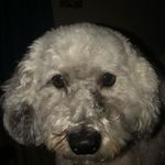 Jonny Larry Ellington - @jonnylarrye - Instagram