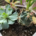 Larry Elton - @larryelton73 - Instagram