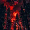 Larry Elton - @larry.elton - TikTok