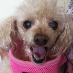 Larry Ely - @larry.ely.9 - Instagram
