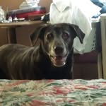 larry embry 2 - @larryembry2 - Instagram