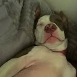 Larry Embry - @embryonhisshit - Instagram