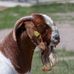 Larry Epting - Facebook