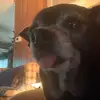 Larry W Everhart - @larry.w.everhart - TikTok