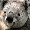 Larry Ewing - @larry.ewing3 - TikTok
