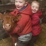 Larry Farrell - @larryfarrell98 - Instagram