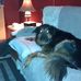 Larry Farrell - Facebook