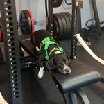Stephen Farrelly - @larry_farrelly - Instagram