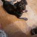 Larry Faught - Facebook
