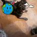 Larry Faught - Facebook