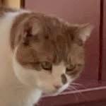 @larry_fergerson - Instagram