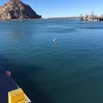 Larry Ferrin - @larry_ferrin - Instagram